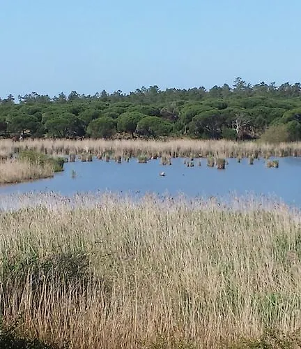 Villa Casa Da Ribeira Aldeia do Meco